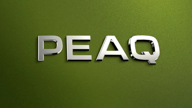 Škoda Peaq | zdroj: skoda-storyboard.com